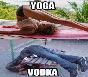 Yoga vs Votka
