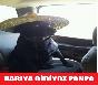 Garıya gidiyoz panpa köpek capsi şapkalı arabada