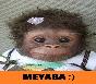 Meyabaaaa :))) Maymun yavrusu