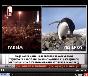 Halk TV yeşil köy penguen yayını