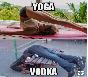 #yoga vs #vodka